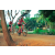 Team 03 / Raid Amazones Cambodge 2018 - J5 VTT