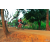 Team 25 / Raid Amazones Cambodge 2018 - J5 VTT