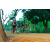 Team 21 / Raid Amazones Cambodge 2018 - J5 VTT
