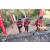 Team 109 / Raid Amazones Cambodge 2018 - J5 VTT