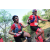 Team 08 / Raid Amazones Cambodge 2018 - J5 VTT