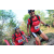 Team 36 / Raid Amazones Cambodge 2018 - J5 VTT