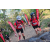 Team 33 / Raid Amazones Cambodge 2018 - J5 VTT