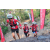Team 113 / Raid Amazones Cambodge 2018 - J5 VTT
