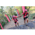 Team 16 / Raid Amazones Cambodge 2018 - J5 VTT