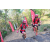 Team 16 / Raid Amazones Cambodge 2018 - J5 VTT