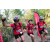 Team 101 / Raid Amazones Cambodge 2018 - J5 VTT