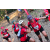 Team 42 / Raid Amazones Cambodge 2018 - J5 VTT