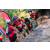 Team 42 / Raid Amazones Cambodge 2018 - J5 VTT