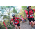 Team 38 / Raid Amazones Cambodge 2018 - J5 VTT
