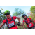 Team 24 / Raid Amazones Cambodge 2018 - J5 VTT