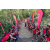 Raid Amazones Cambodge 2018 - J5 VTT