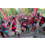 Team 27 / Raid Amazones Cambodge 2018 - J5 VTT