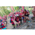 Team 27 / Raid Amazones Cambodge 2018 - J5 VTT