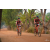 Team 49 / Raid Amazones Cambodge 2018 - J5 VTT