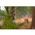 Team 26 / Raid Amazones Cambodge 2018 - J5 VTT
