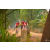 Team 102 / Raid Amazones Cambodge 2018 - J5 VTT