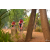 Team 102 / Raid Amazones Cambodge 2018 - J5 VTT