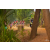 Team 47 / Raid Amazones Cambodge 2018 - J5 VTT