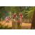 Team 33 / Raid Amazones Cambodge 2018 - J5 VTT