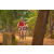 Team 19 / Raid Amazones Cambodge 2018 - J5 VTT
