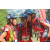 Team 109 / Raid Amazones Cambodge 2018 - J5 VTT