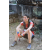 Team 107 / Raid Amazones Cambodge 2018 - J5 VTT