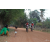 Team 35 / Raid Amazones Cambodge 2018 - J5 VTT
