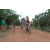 Team 117 / Raid Amazones Cambodge 2018 - J5 VTT