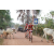 Raid Amazones Cambodge 2018 - J5 VTT