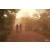 Team 135 / Raid Amazones Cambodge 2018 - J5 VTT