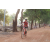 Team 106 / Raid Amazones Cambodge 2018 - J5 VTT
