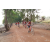Team 09 / Raid Amazones Cambodge 2018 - J5 VTT