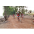 Team 36 / Raid Amazones Cambodge 2018 - J5 VTT