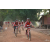 Team 02 / Raid Amazones Cambodge 2018 - J5 VTT