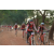 Team 34 / Raid Amazones Cambodge 2018 - J5 VTT