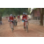 Team 15 / Raid Amazones Cambodge 2018 - J5 VTT