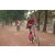 Team 31 / Raid Amazones Cambodge 2018 - J5 VTT