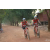 Team 38 / Raid Amazones Cambodge 2018 - J5 VTT