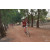 Team 13 / Raid Amazones Cambodge 2018 - J5 VTT