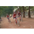 Team 20 / Raid Amazones Cambodge 2018 - J5 VTT
