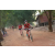 Team 23 / Raid Amazones Cambodge 2018 - J5 VTT