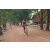 Team 102 / Raid Amazones Cambodge 2018 - J5 VTT