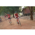 Team 102 / Raid Amazones Cambodge 2018 - J5 VTT