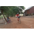 Team 25 / Raid Amazones Cambodge 2018 - J5 VTT