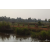 Raid Amazones Cambodge 2018 - J5 VTT
