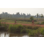 Raid Amazones Cambodge 2018 - J5 VTT