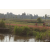 Raid Amazones Cambodge 2018 - J5 VTT