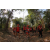 Raid Amazones Cambodge 2018 - J5 VTT