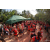 Raid Amazones Cambodge 2018 - J5 VTT